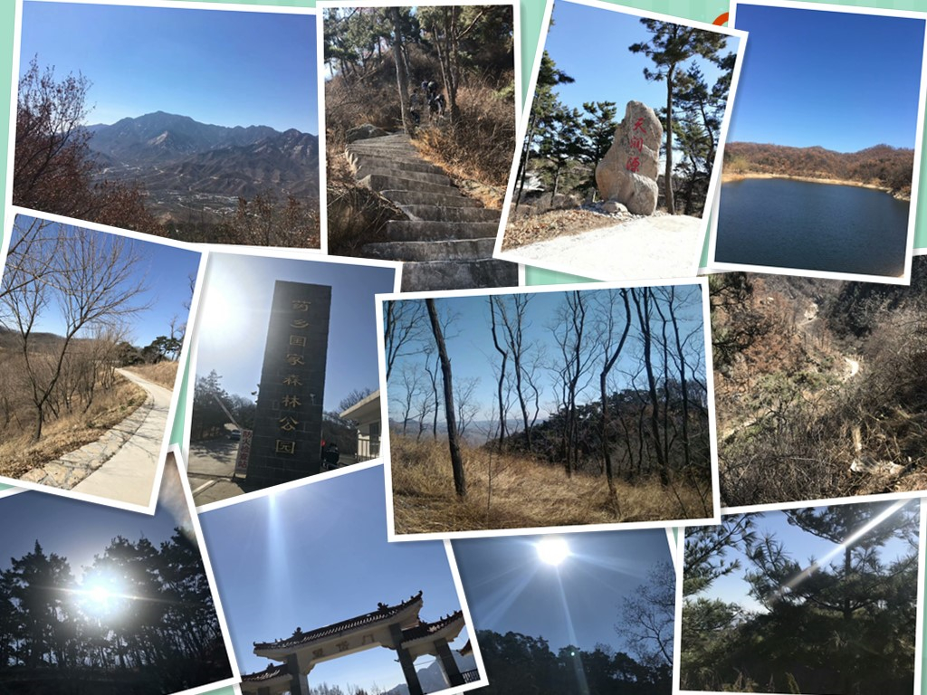 弹簧试验机厂家 春游图