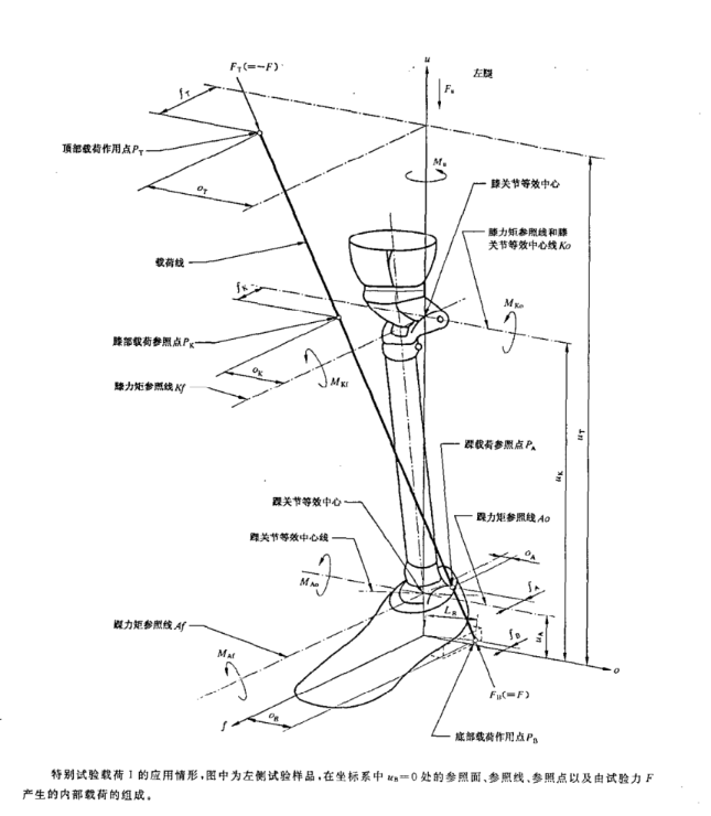 假肢 下肢假肢结构内力及其作用